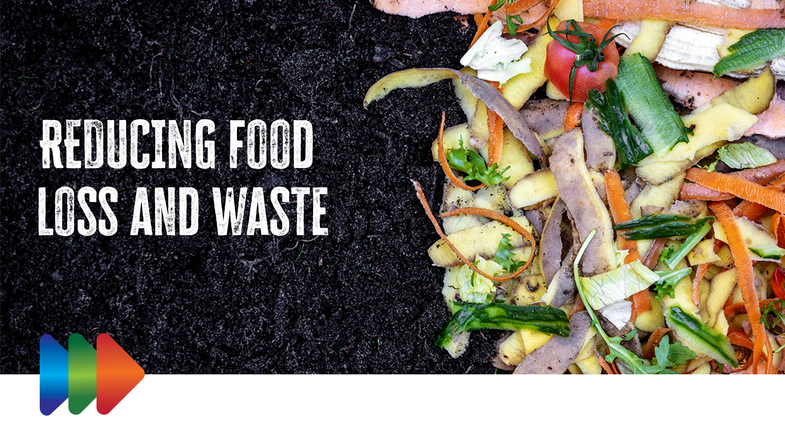 food-loss-and-waste